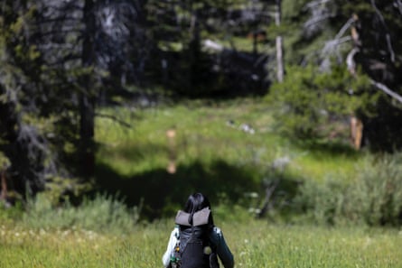 a woman looking at trees