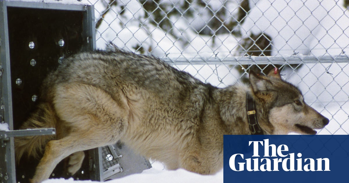 1999.jpg?width=1200&height=630&quality=8