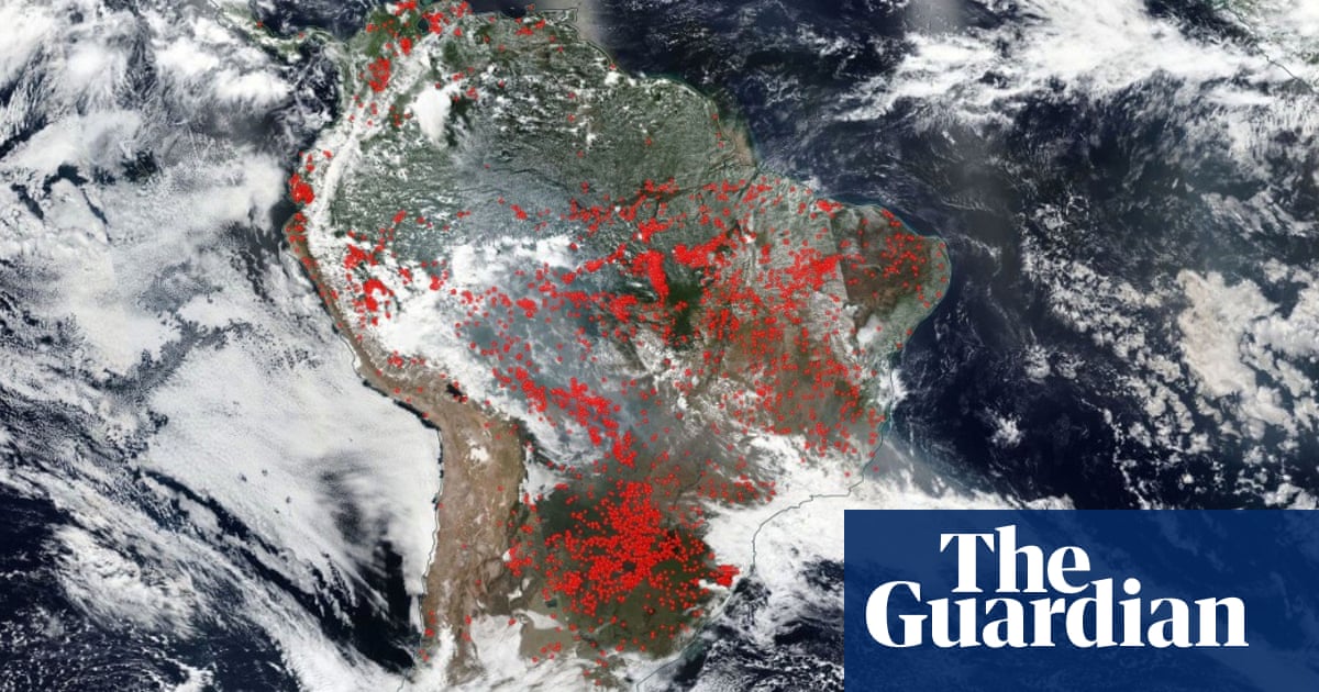 Jair Bolsonaro claims NGOs behind Amazon forest fire surge – but provides no evidence