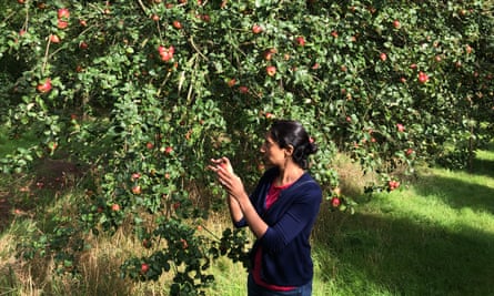 The writer tastes cider apples at Broome Farm