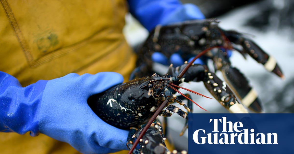 UK and EU close in on agricultural deal to reduce Brexit barriers