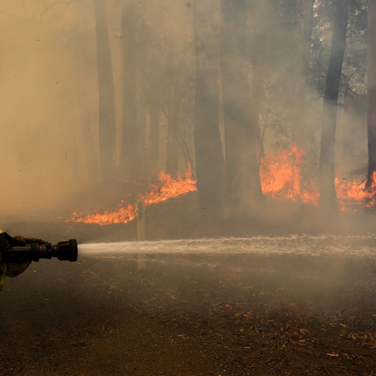Summer S Bushfires Released More Carbon Dioxide Than Australia Does In A Year Bushfires The Guardian