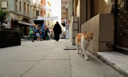 Sari strolls the Istanbul streets.