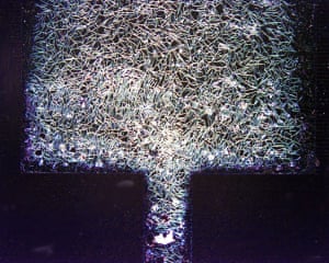 Dark field light microscopy picture of a 40 nm thick electrodeposited TiO2 layer