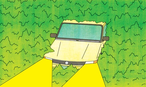 stoned driving illustration - car in green