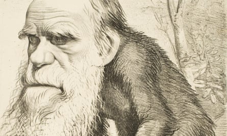 Download The Real Importance Of A Silly Sounding Gcse Question On Darwin Free Wallpaper The Real Importance Of A Silly Sounding Gcse Question On Darwin Free HD