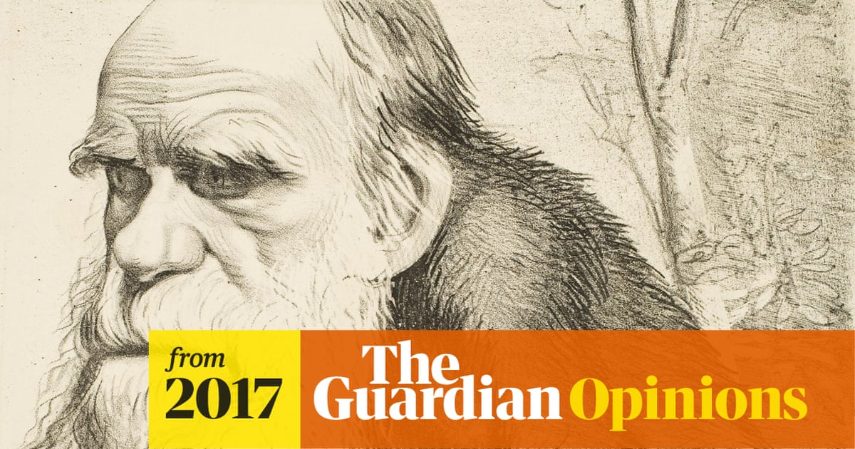 Chill Charles Darwin Memes Fotos Facebook