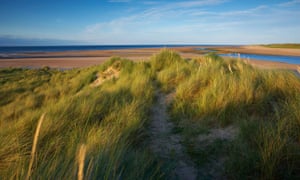 Scolt Head Island in summer