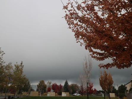 Grey cloudy sky over trees with autumnal foliage beside street