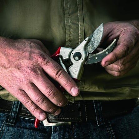 Felco Model 2 Secateurs, Large, Right Handed