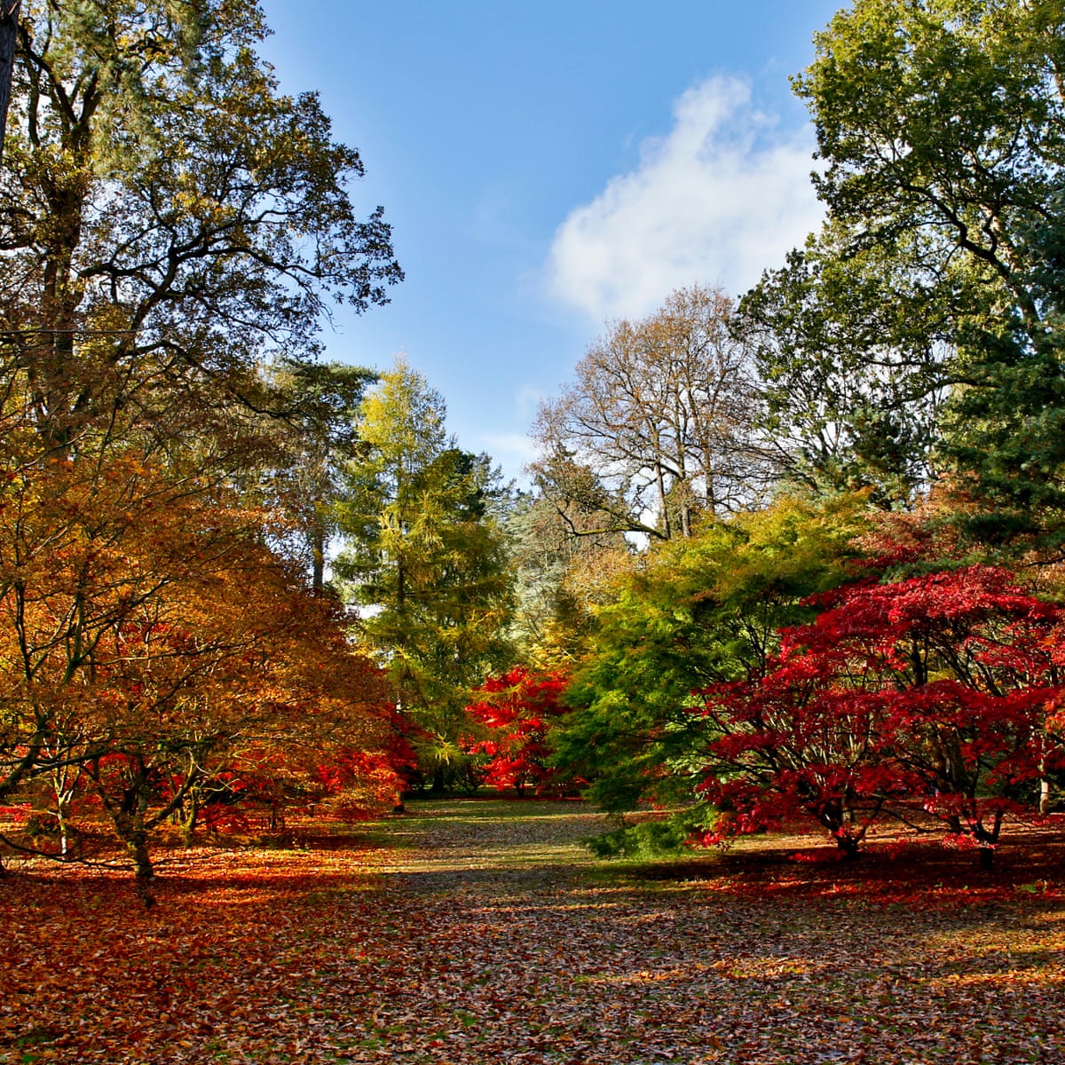 Ekim Teorisi: Hayatınızı Yeniden Şekillendirmek İçin Mükemmel Bir Zaman