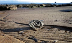 An ammonite on the beach at Saltwick Bay, England.