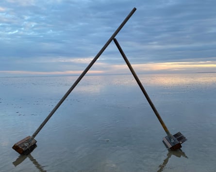 Foraging for cockles in Romney Marsh, Kent