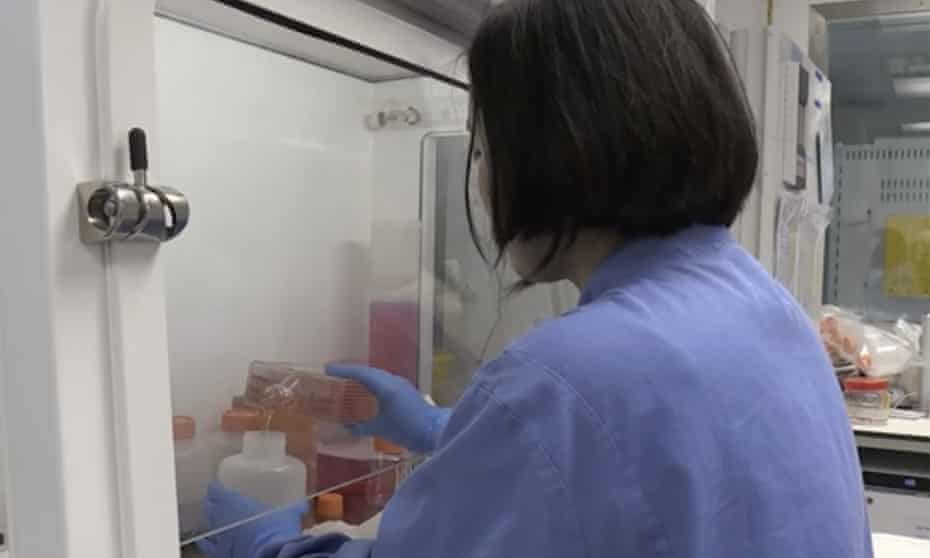 The coronavirus vaccine, being developed at Oxford University, pictured, is being trialled on more than 1,000 people