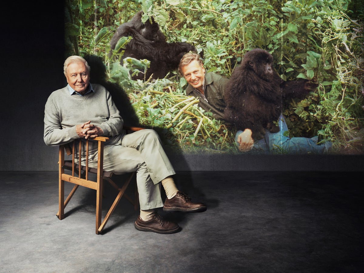 Making Life on Earth: Attenborough's Greatest Adventure ...