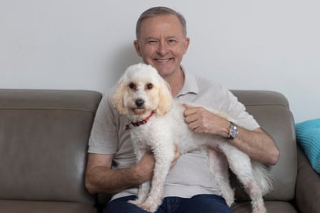 Prime minister Anthony Albanese with his cavoodle Toto