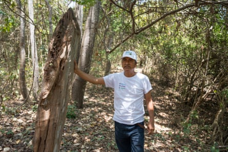 Um homem de aparência latina está com a mão no tronco de uma árvore em um matagal