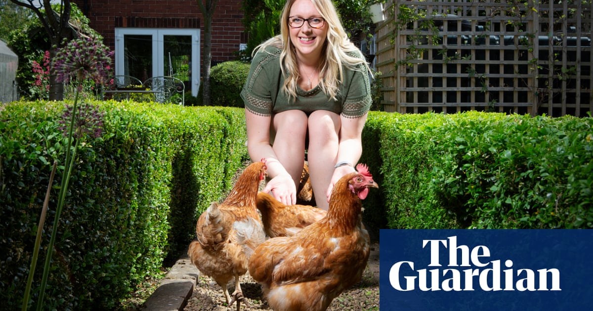 'My chickens are always pleased to see me!' Life with the hen rescuers