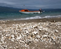 Bleached coral fragments scattered across a beach with waves and a boat beyond