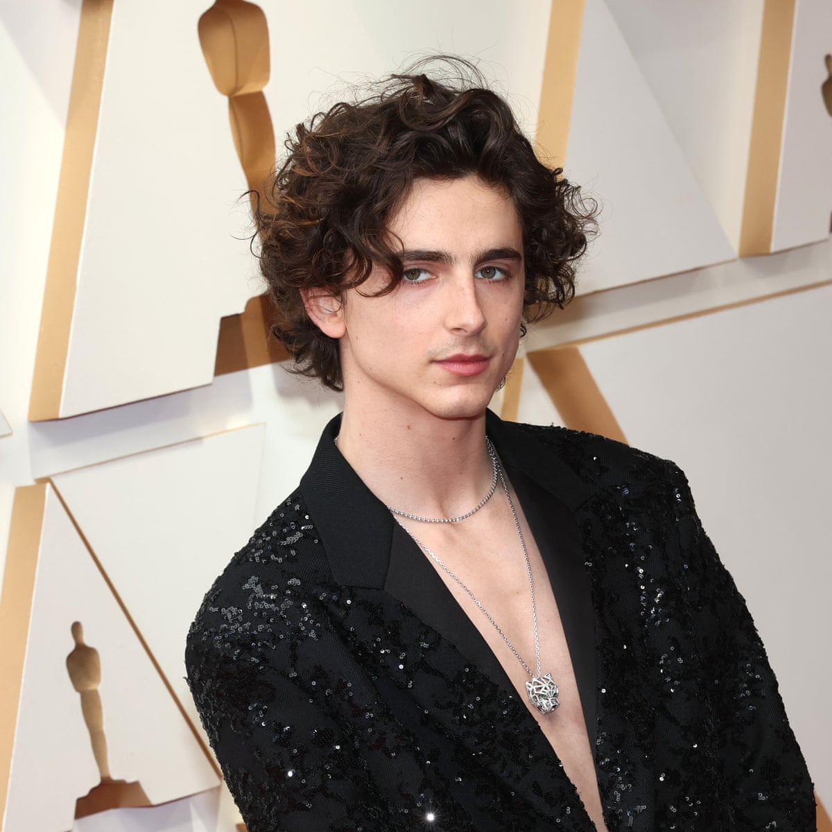 Chest in show: Timothée Chalamet gives 2022's Oscar red carpet its biggest  fashion moment, Oscars 2022