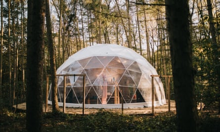 A geodome in forest