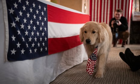 A dog with an American flag tie walks in the room before the First-in-the-Nation midnight vote for the New Hampshire primary elections in Dixville Notch.