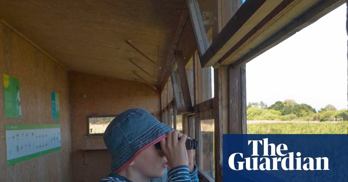 Gen Z leads birdwatching boom as more Britons reach for the binoculars