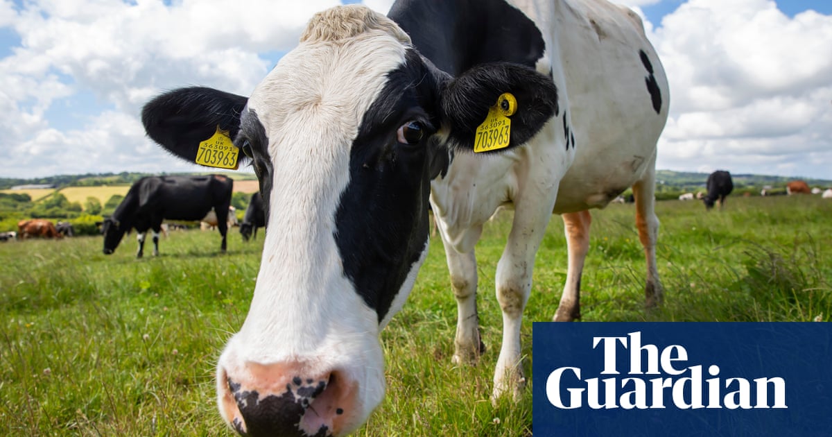 Butter made from CO2, not cows, tastes like ‘the real thing’, claims startup