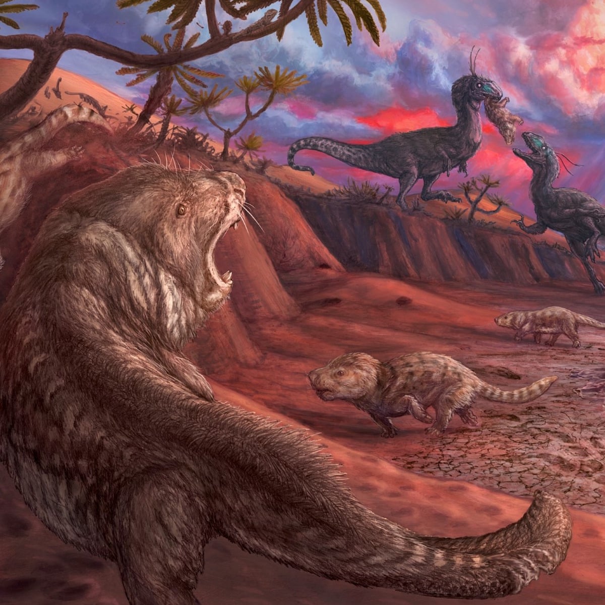 Extremely rare' Jurassic-era fossils discovered in Lake Powell | Fossils | The Guardian