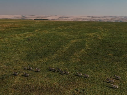 'Ela deu a vida para proteger a riqueza do Congo': por dentro do ataque mortal a Upemba...