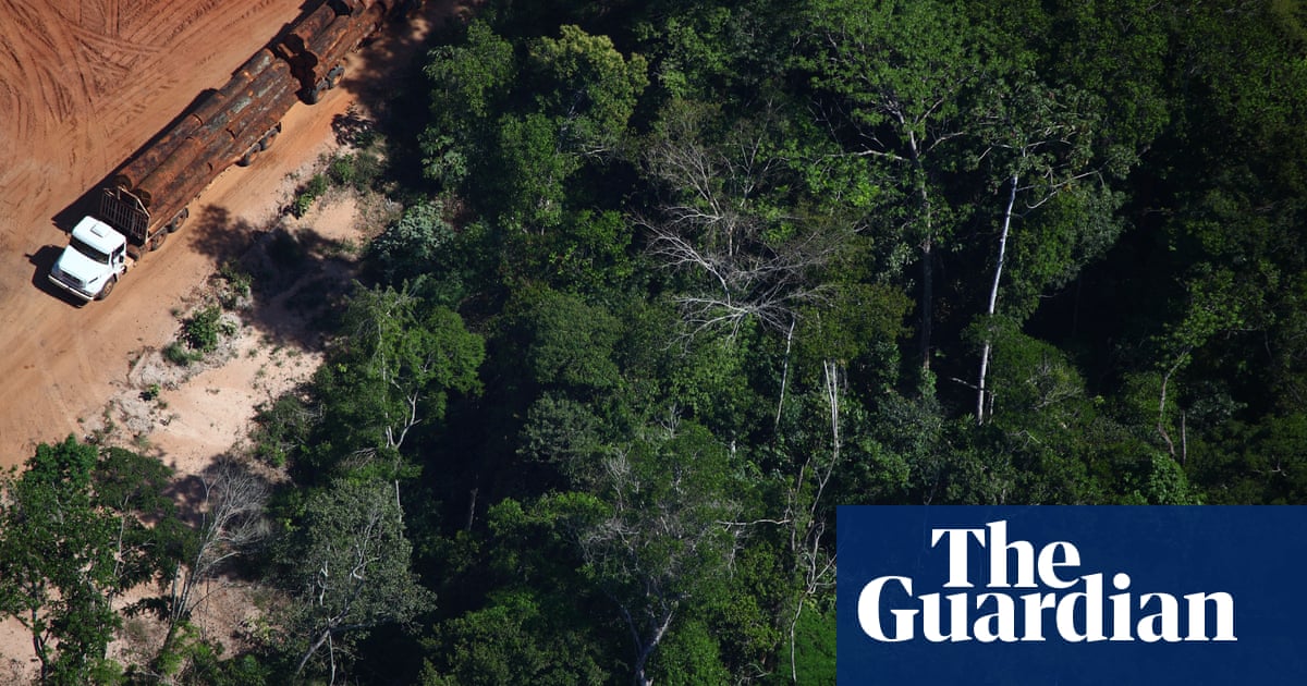 Beauty And Destruction The Amazon Rainforest In Pictures Global Development Professionals Network The Guardian Beauty And Destruction The Amazon Rainforest In Pictures Global Development Professionals Network The Guardian