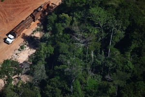 Truck transporting logs along a road in Amazon Biome on September 09, 2009.