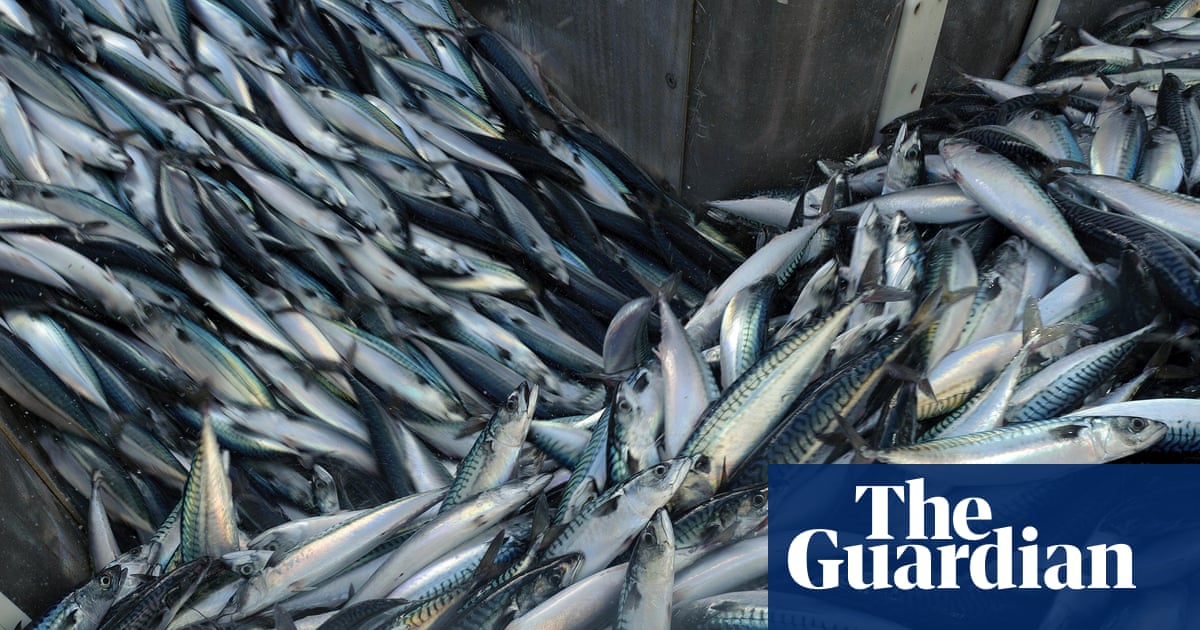 ‘A national scandal’: trawlers scour seabeds of supposedly protected UK waters