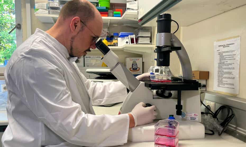 Roman Woelfel, a microbiologist in Munich, at work; Germany has detected its first case of monkeypox.