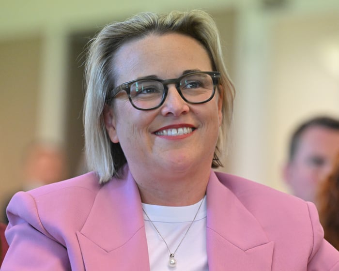 OpenAI must explain action taken to stop AI hacking Australians’ private data, chair of federal inquiry says