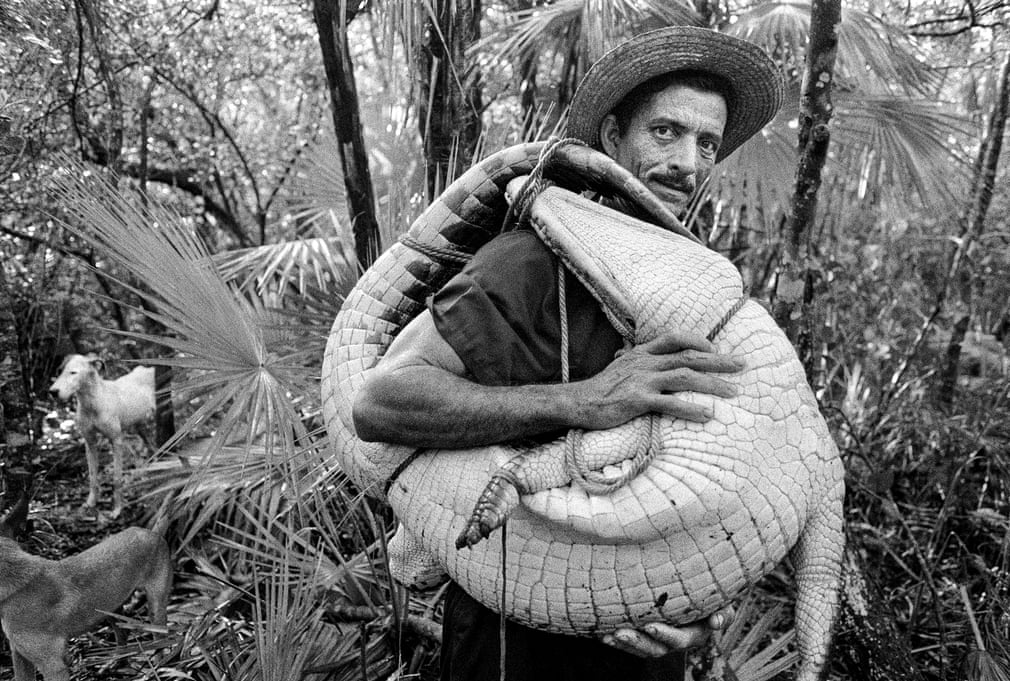 CAYO PALMA. Raúl Cañibano betrachtet die Welt, versteht sie, nähert sich ihr und stellt sie durch den Sucher und das Objektiv seiner Kamera dar. Sein Werk ist das Ergebnis dieser Beziehung zu seiner Umwelt. ABSOLUT CUBA von Raúl Cañibano ist bei der Edition Lammerhuber erschienen | Bildquelle: The Guardian CAYO PALMA. Raúl Cañibano betrachtet die Welt, versteht sie, nähert sich ihr und stellt sie durch den Sucher und das Objektiv seiner Kamera dar. Sein Werk ist das Ergebnis dieser Beziehung zu seiner Umwelt. ABSOLUT CUBA von Raúl Cañibano ist bei der Edition Lammerhuber erschienen | Bildquelle: The Guardian | Bilder sind in der Regel urheberrechtlich geschützt