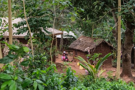 Village buildings are seen through foliage.