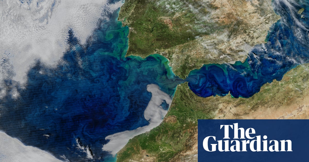 North Atlantic's capacity to absorb CO2 overestimated, study suggests - The Guardian