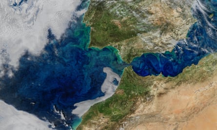 As flores do fitoplâncton são visíveis do espaço nesta imagem de satélite de 2017 tirada do estreito de Gibraltar.