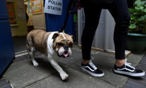 A voter leaves a polling station with a bulldog in London