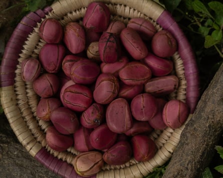 A straw basket full of dark purplish fruit