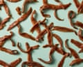 Salted tinned anchovies scattered somewhat artfully across a pale green surface