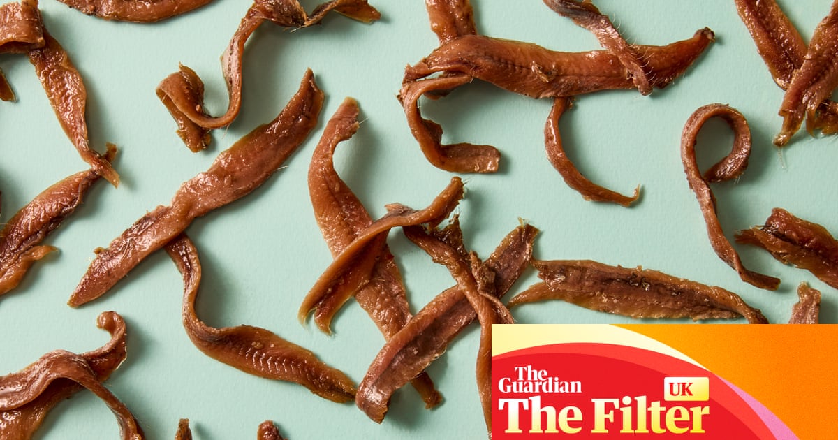 ‘Intense, salty, foul’: the best (and worst) supermarket anchovies, tasted and rated