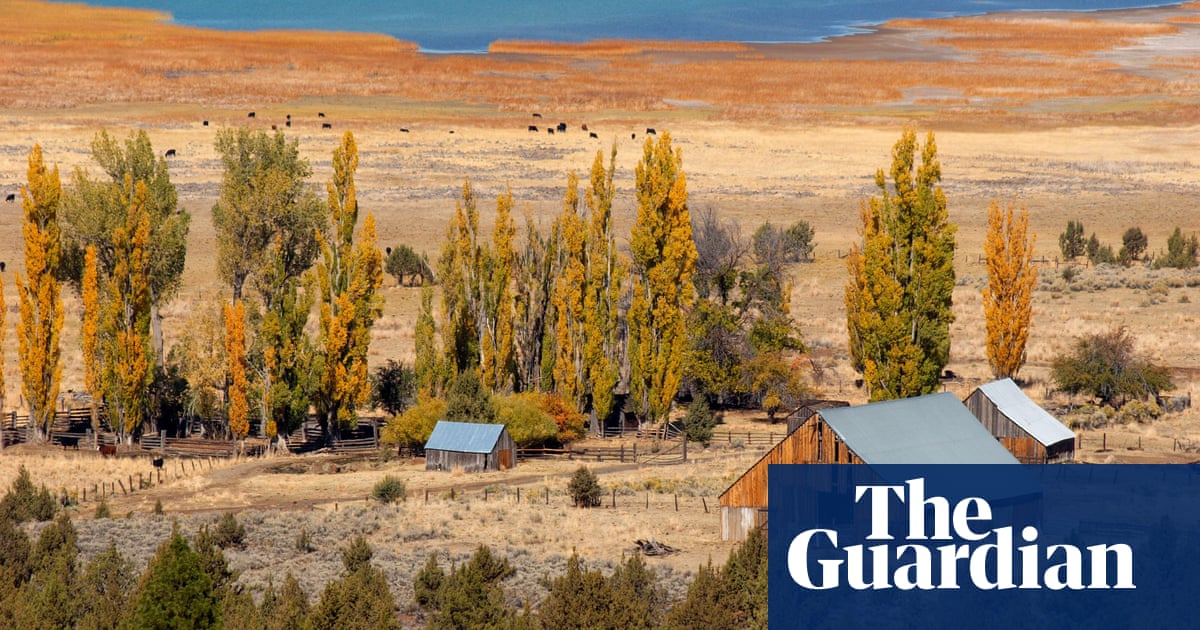Books To Give You Hope Z For Zachariah By Robert C O Brien Books The Guardian