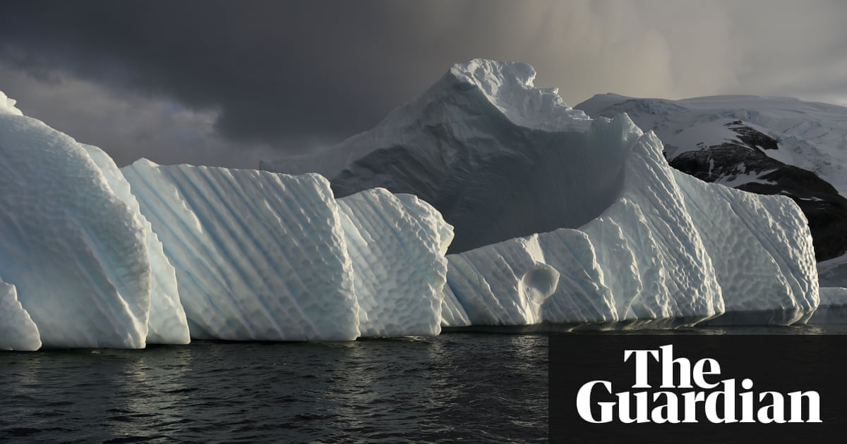 Decline in krill threatens Antarctic wildlife, from whales to penguins 2