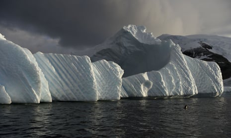 An iceberg in the western Antarctic peninsula where krill populations are declining, threatening a vital food source for seals, whales and penguins