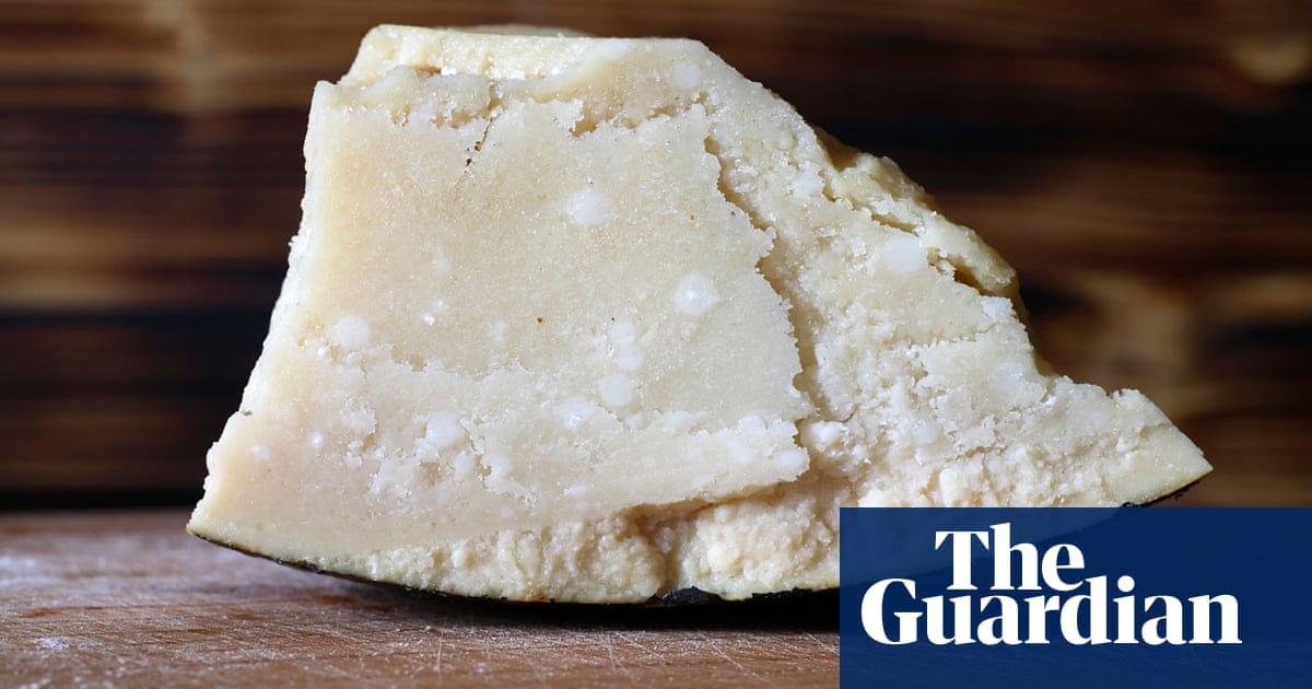 So Your Store Bought Parmesan Cheese Is Made With Wood Pulp Is That So Bad Cheese The Guardian
