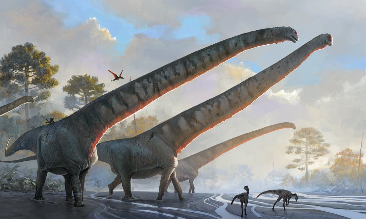 Gargantuan': China fossils reveal 70-tonne dinosaur had 15-metre ...