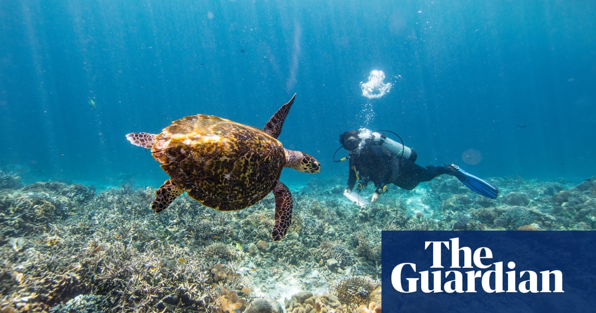Living in Indonesia's marine protected areas - in pictures