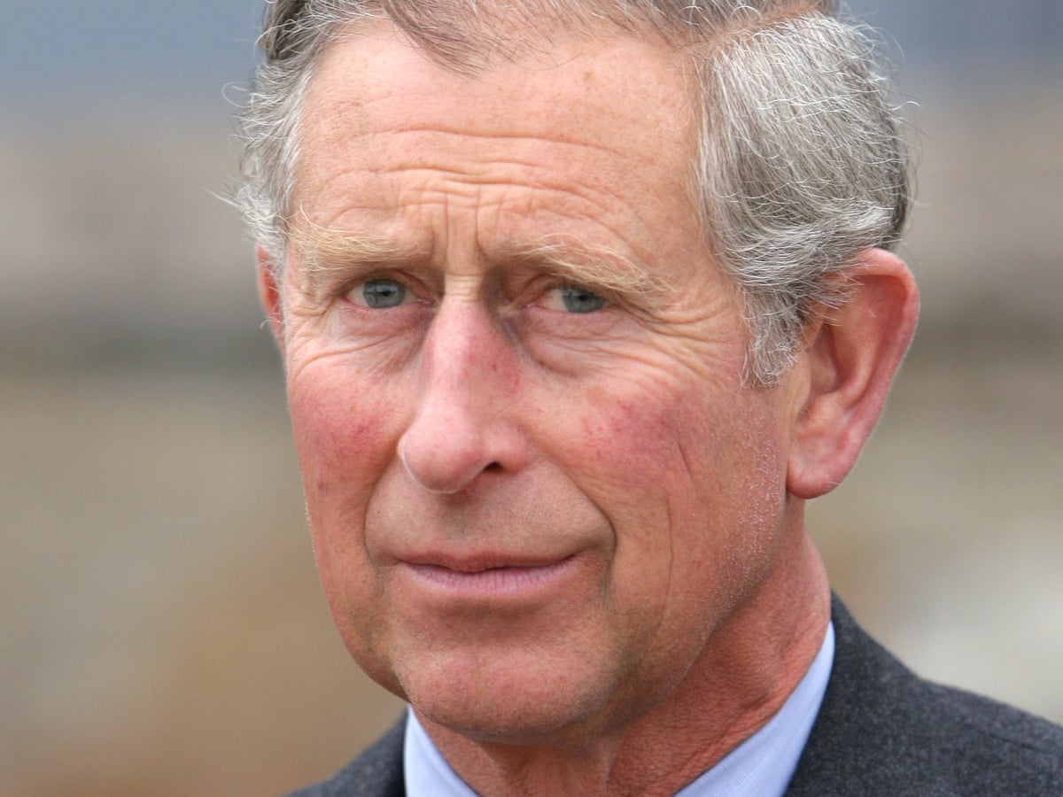 Rebel Prince by Tom Bower review – is Charles the best argument for a republic? | Biography books | The Guardian